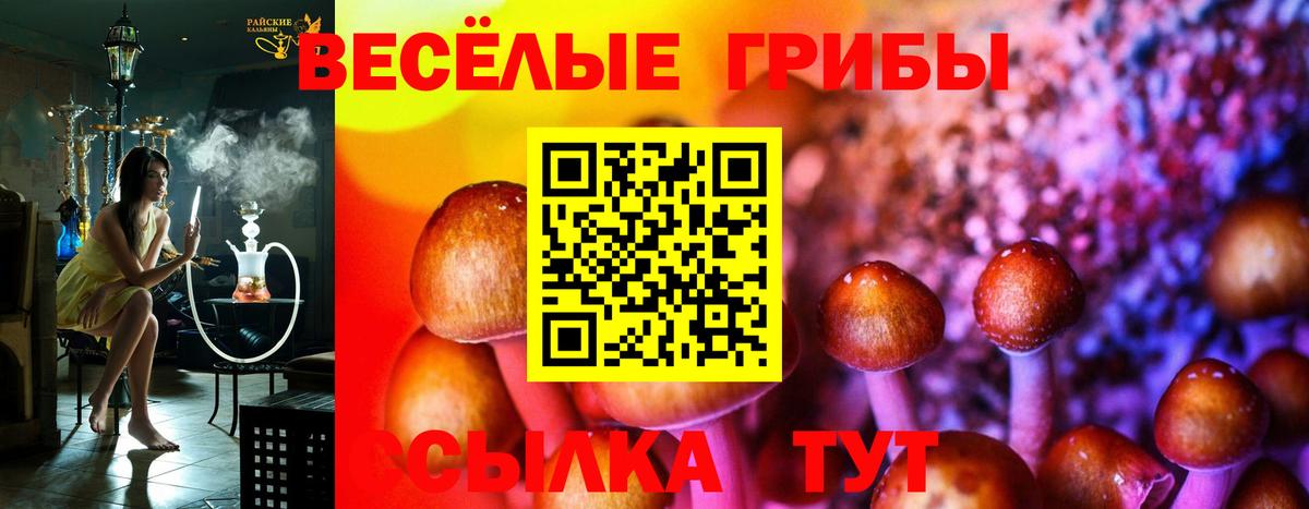 Галлюциногенные грибы Magic Shrooms Отрадное