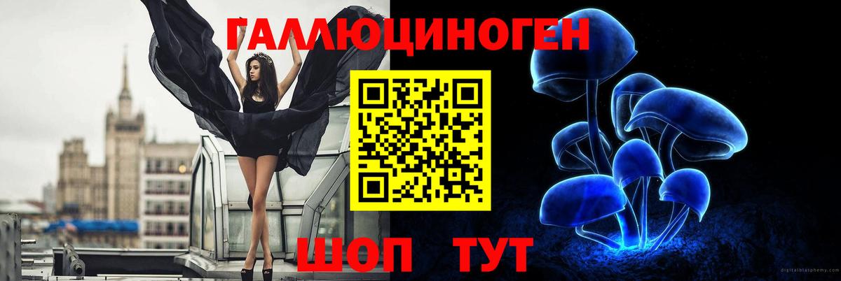 Отрадное  Галлюциногенные грибы Psilocybine cubensis  Вход с VPN 
